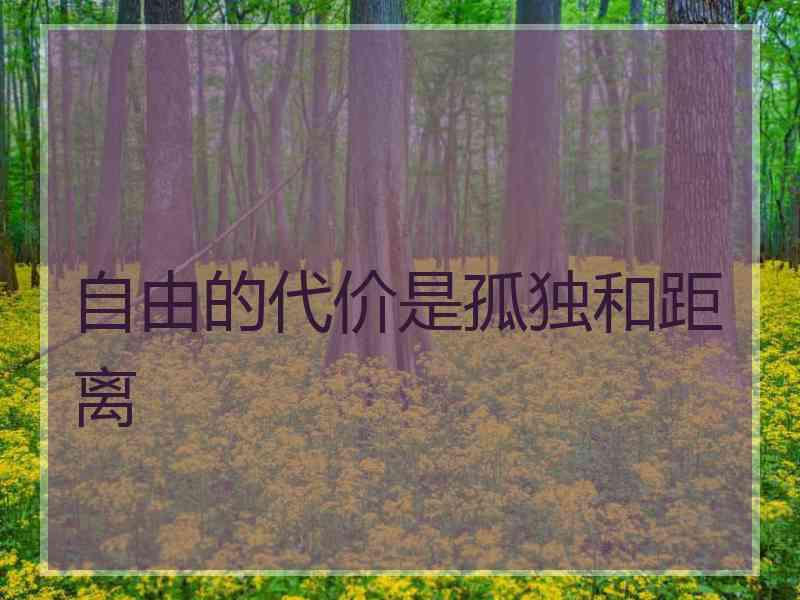 自由的代价是孤独和距离