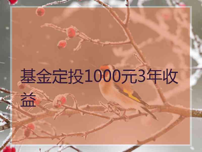 基金定投1000元3年收益