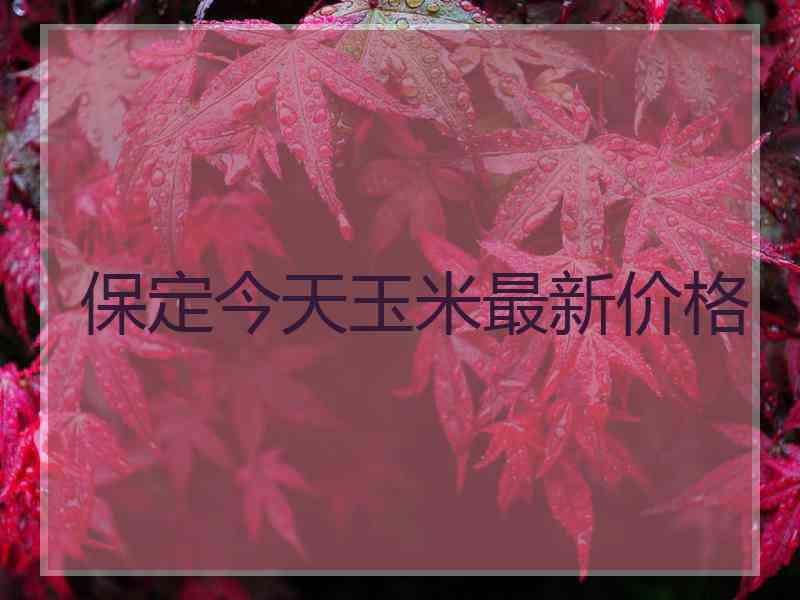 保定今天玉米最新价格