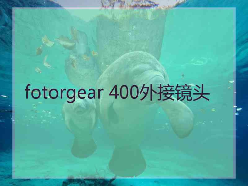 fotorgear 400外接镜头