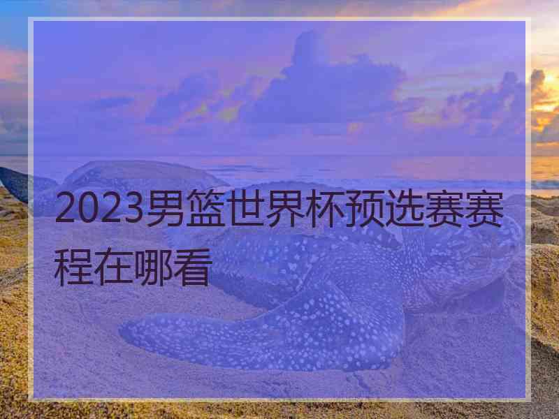 2023男篮世界杯预选赛赛程在哪看