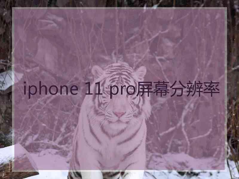 iphone 11 pro屏幕分辨率