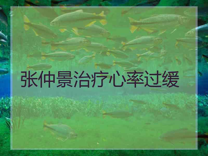 张仲景治疗心率过缓