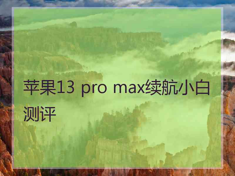 苹果13 pro max续航小白测评