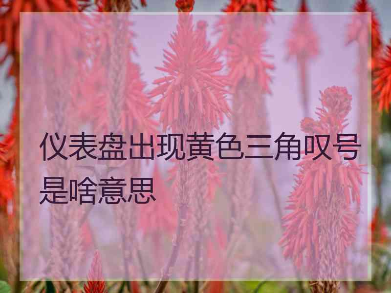 仪表盘出现黄色三角叹号是啥意思