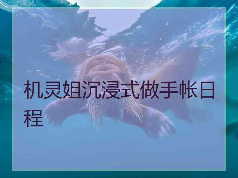 机灵姐沉浸式做手帐日程