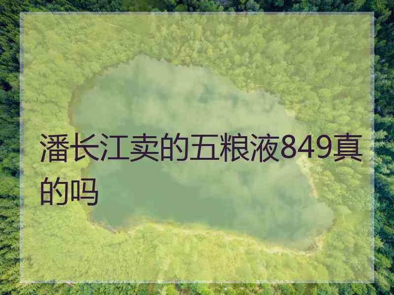 潘长江卖的五粮液849真的吗