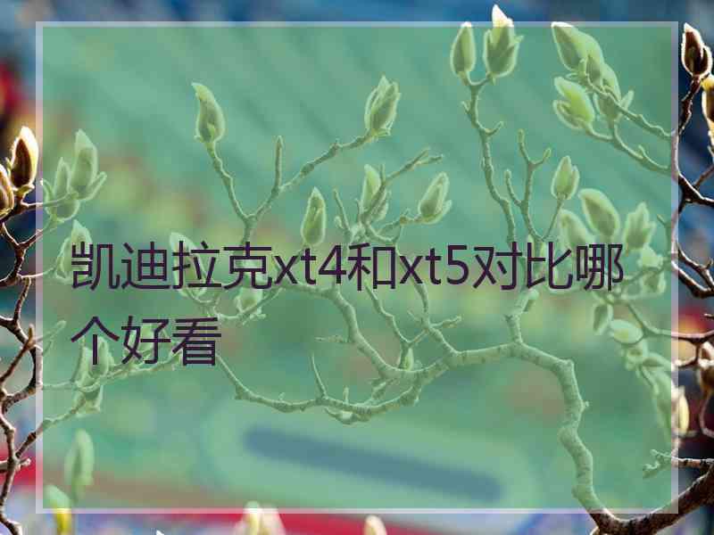 凯迪拉克xt4和xt5对比哪个好看