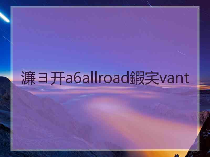 濂ヨ开a6allroad鍜宎vant