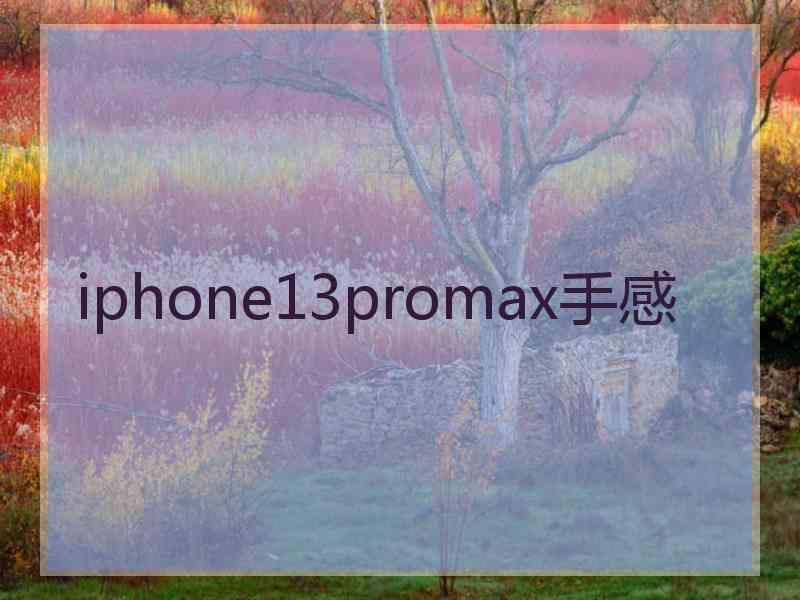 iphone13promax手感