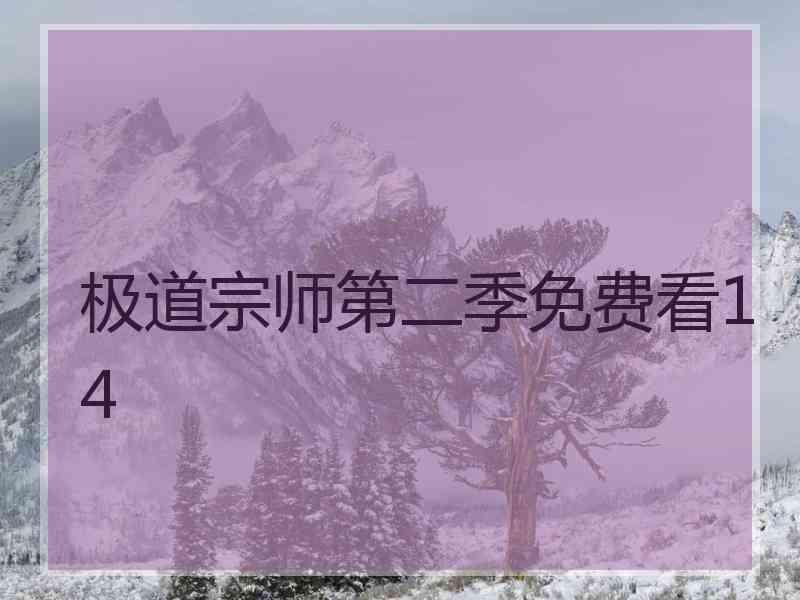 极道宗师第二季免费看14