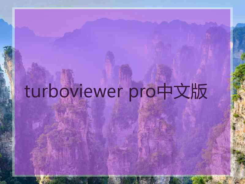 turboviewer pro中文版