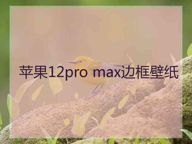 苹果12pro max边框壁纸