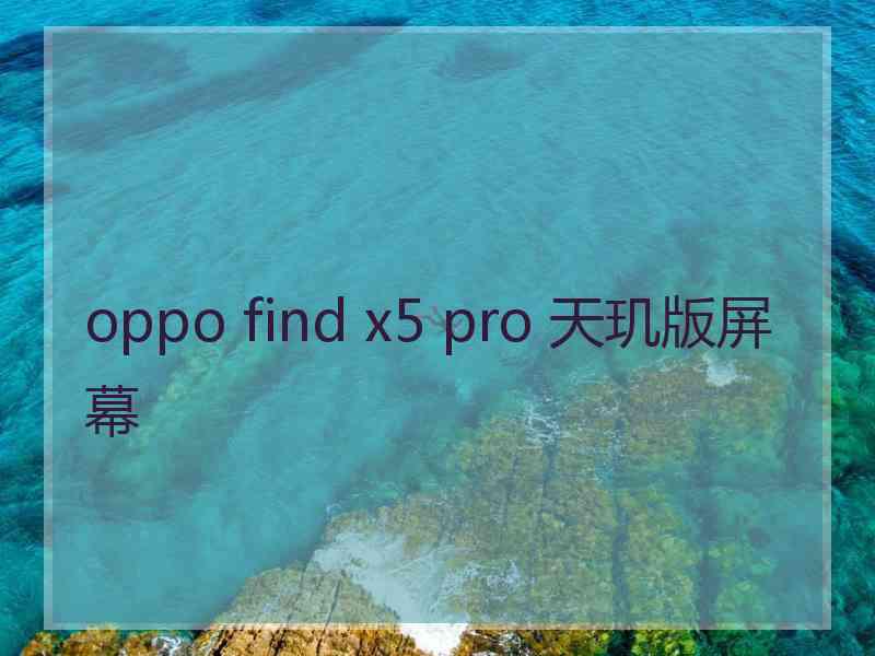 oppo find x5 pro 天玑版屏幕