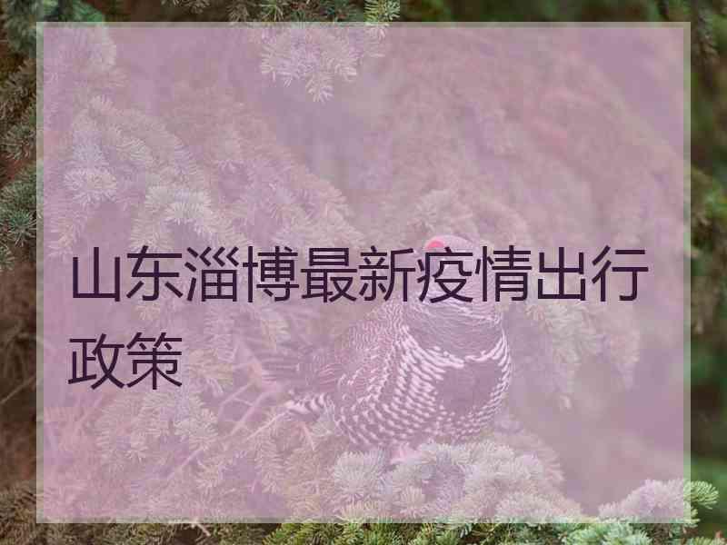 山东淄博最新疫情出行政策