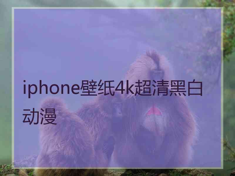 iphone壁纸4k超清黑白动漫