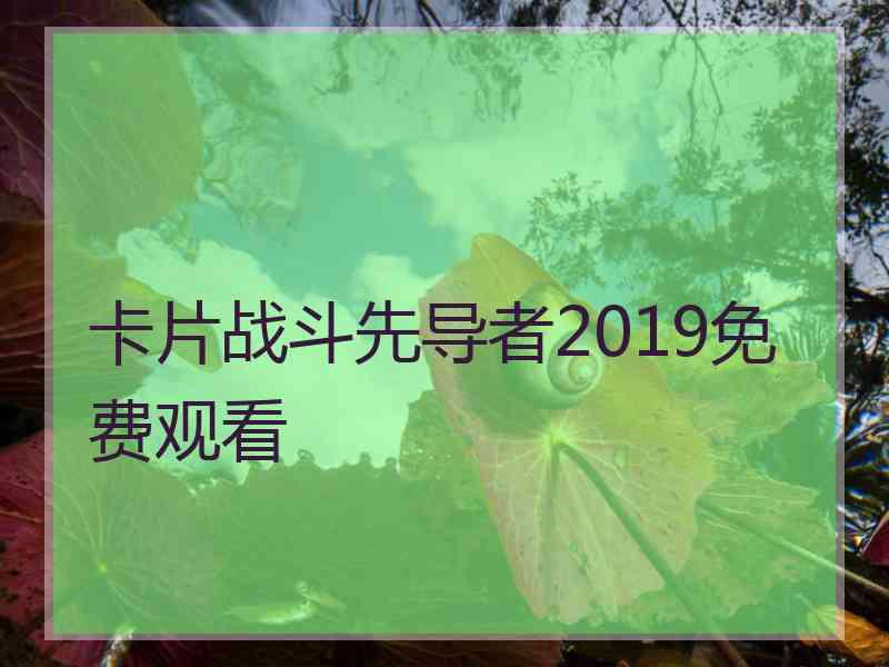 卡片战斗先导者2019免费观看