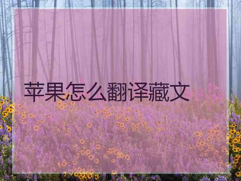 苹果怎么翻译藏文