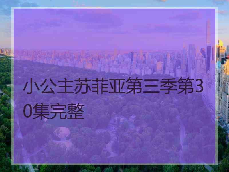 小公主苏菲亚第三季第30集完整