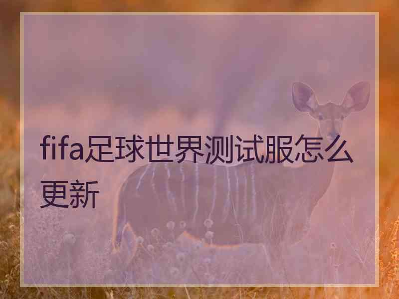 fifa足球世界测试服怎么更新