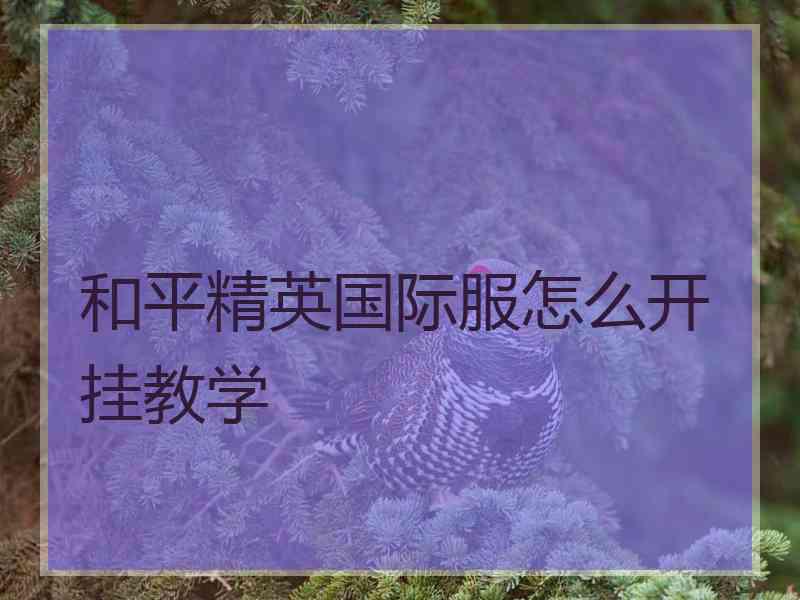 和平精英国际服怎么开挂教学