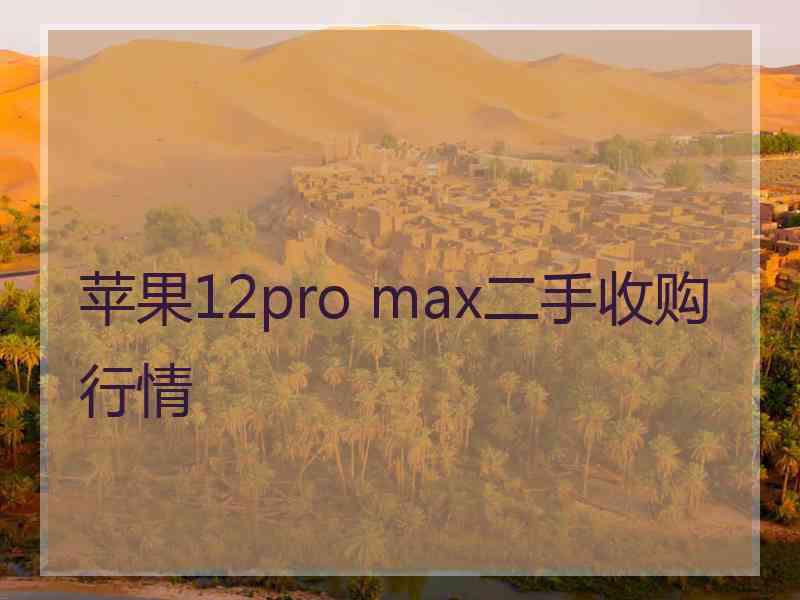 苹果12pro max二手收购行情