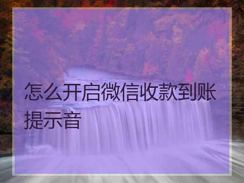 怎么开启微信收款到账提示音