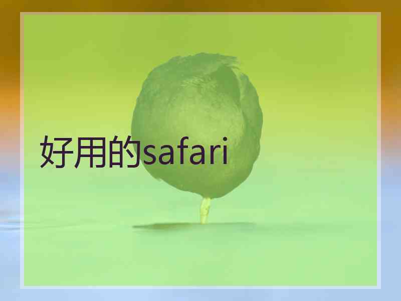 好用的safari