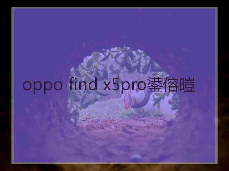 oppo find x5pro鍙傛暟