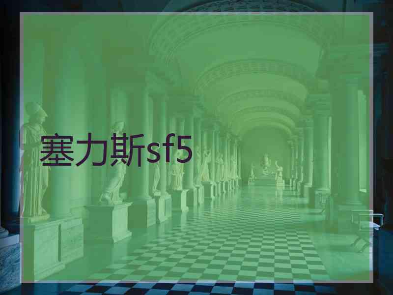 塞力斯sf5