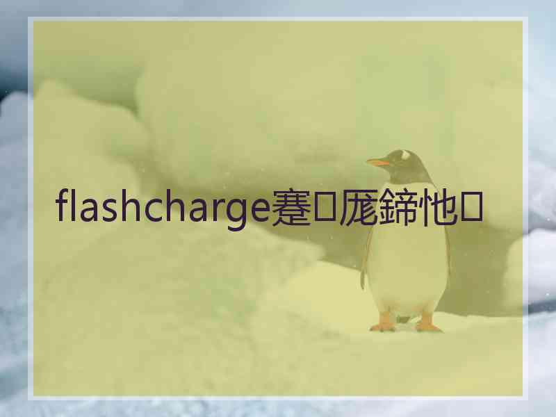 flashcharge蹇厖鍗忚