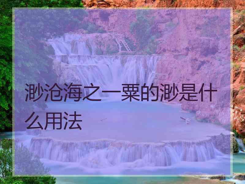 渺沧海之一粟的渺是什么用法