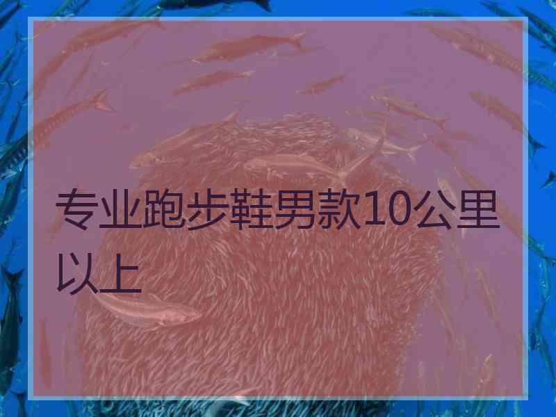 专业跑步鞋男款10公里以上