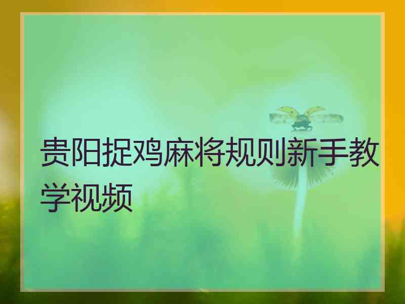 贵阳捉鸡麻将规则新手教学视频