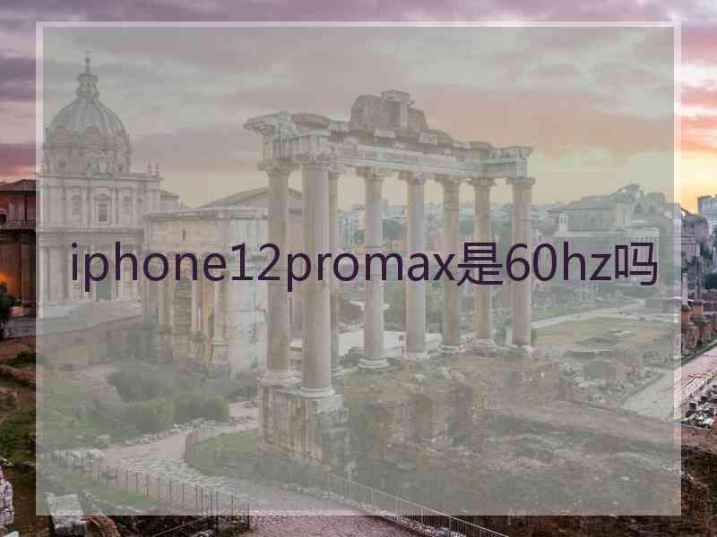 iphone12promax是60hz吗