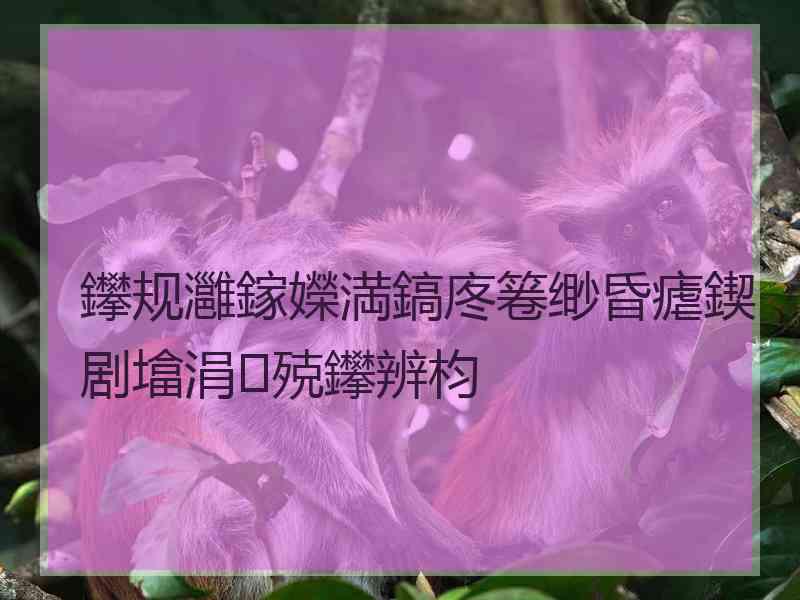 鑻规灉鎵嬫満鎬庝箞缈昏瘧鍥剧墖涓殑鑻辨枃