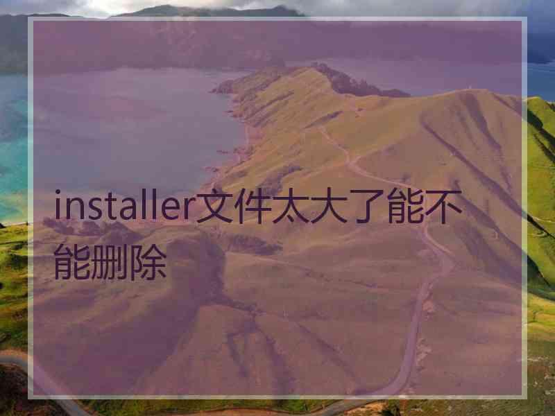 installer文件太大了能不能删除