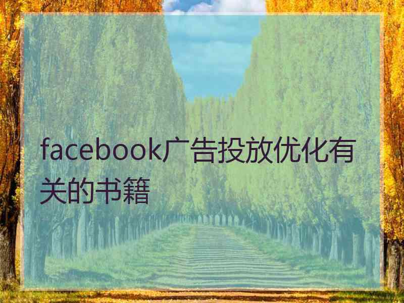 facebook广告投放优化有关的书籍