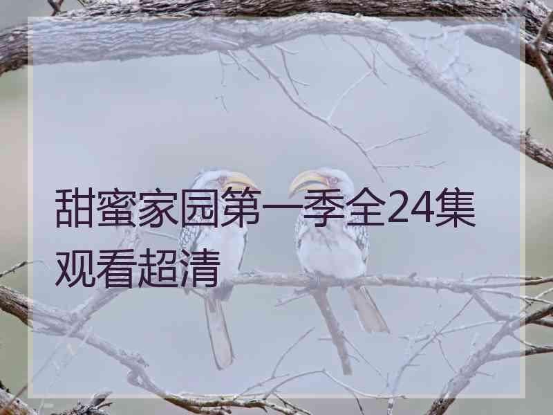 甜蜜家园第一季全24集观看超清