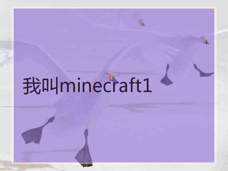 我叫minecraft1