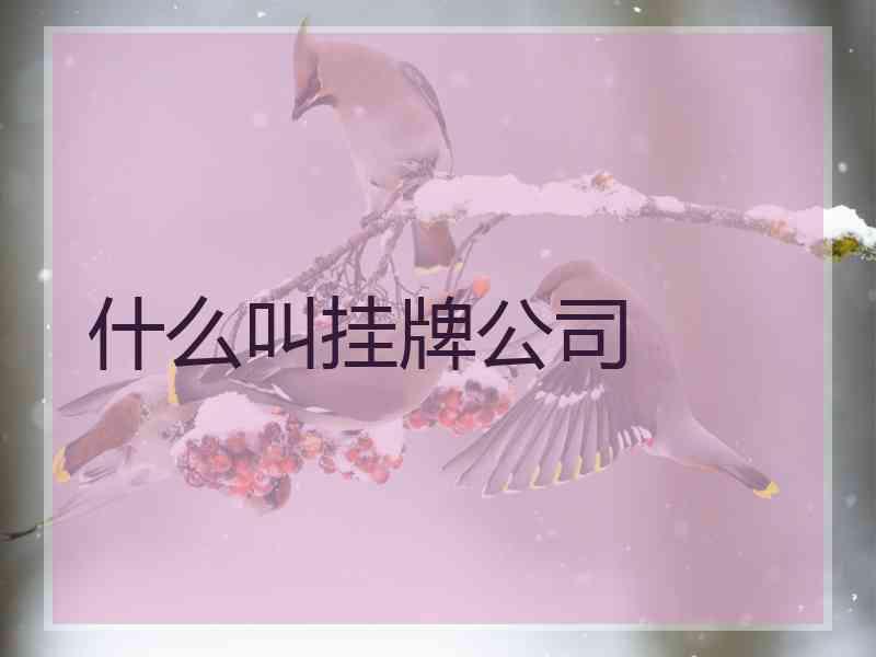 什么叫挂牌公司