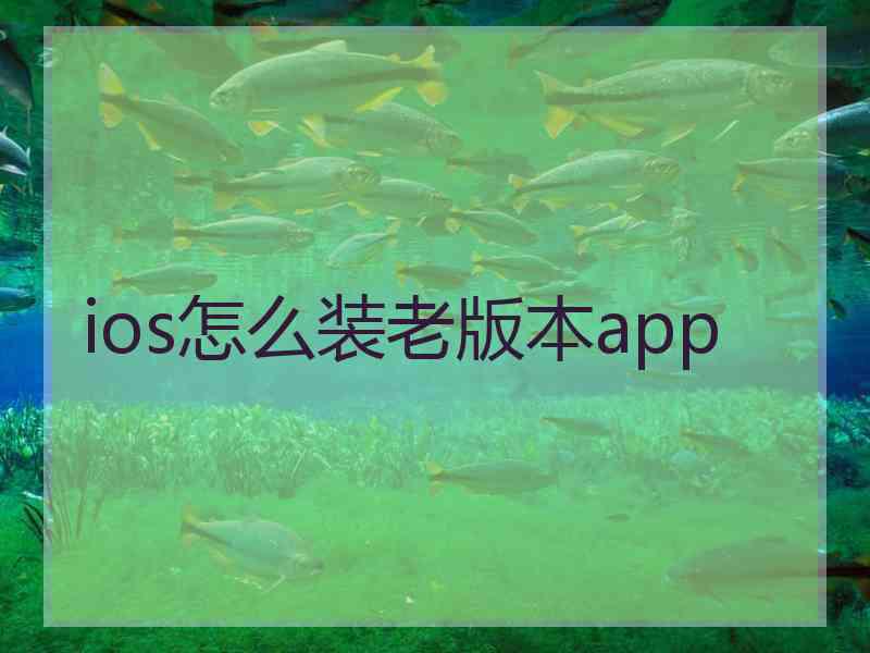 ios怎么装老版本app