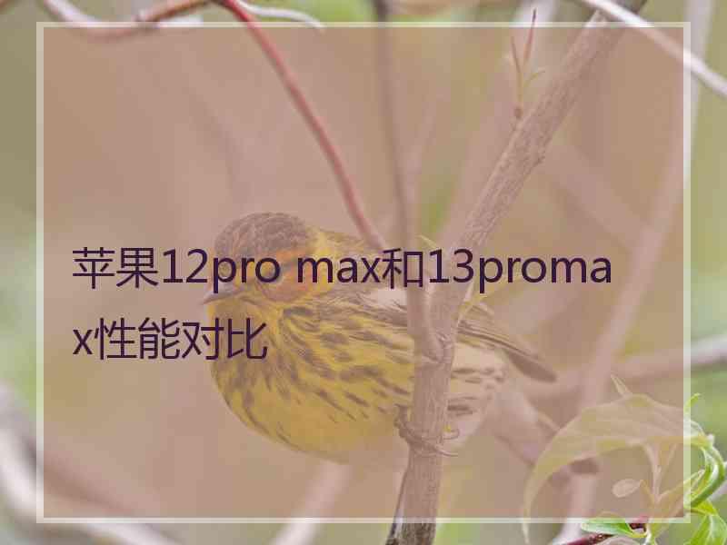 苹果12pro max和13promax性能对比