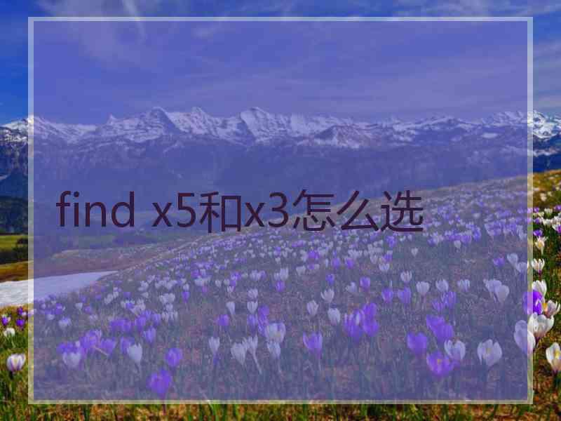 find x5和x3怎么选