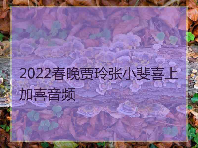 2022春晚贾玲张小斐喜上加喜音频