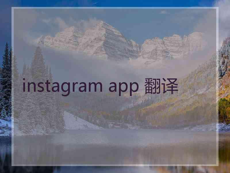 instagram app 翻译