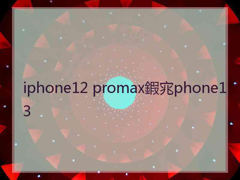 iphone12 promax鍜宨phone13