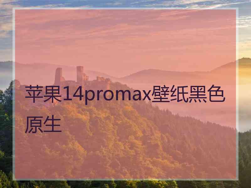 苹果14promax壁纸黑色原生