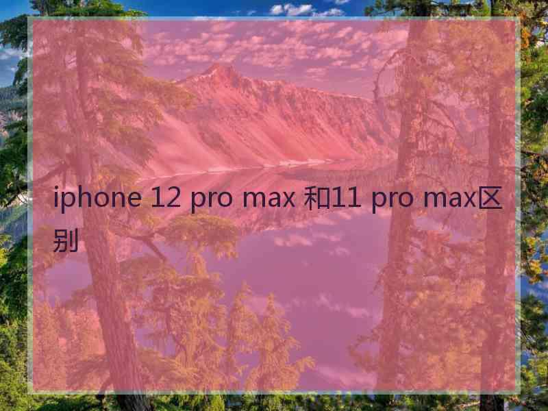 iphone 12 pro max 和11 pro max区别