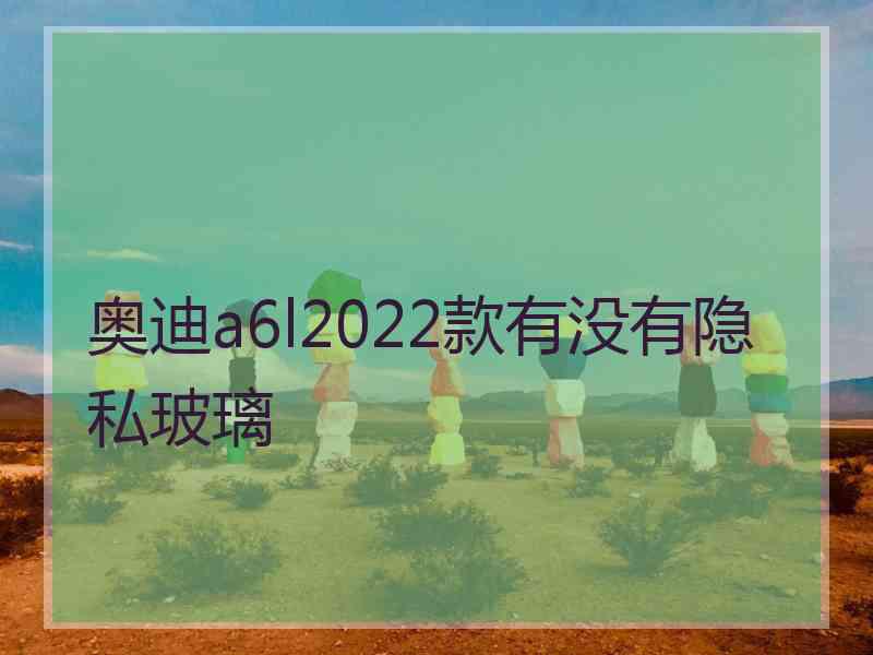 奥迪a6l2022款有没有隐私玻璃